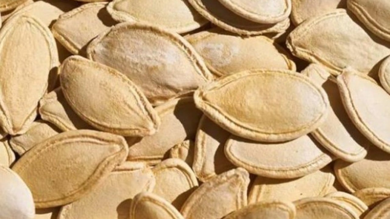 Bu faydasını ilk kez duyacaksınız! Uyumadan önce kabak çekirdeği yerseniz..