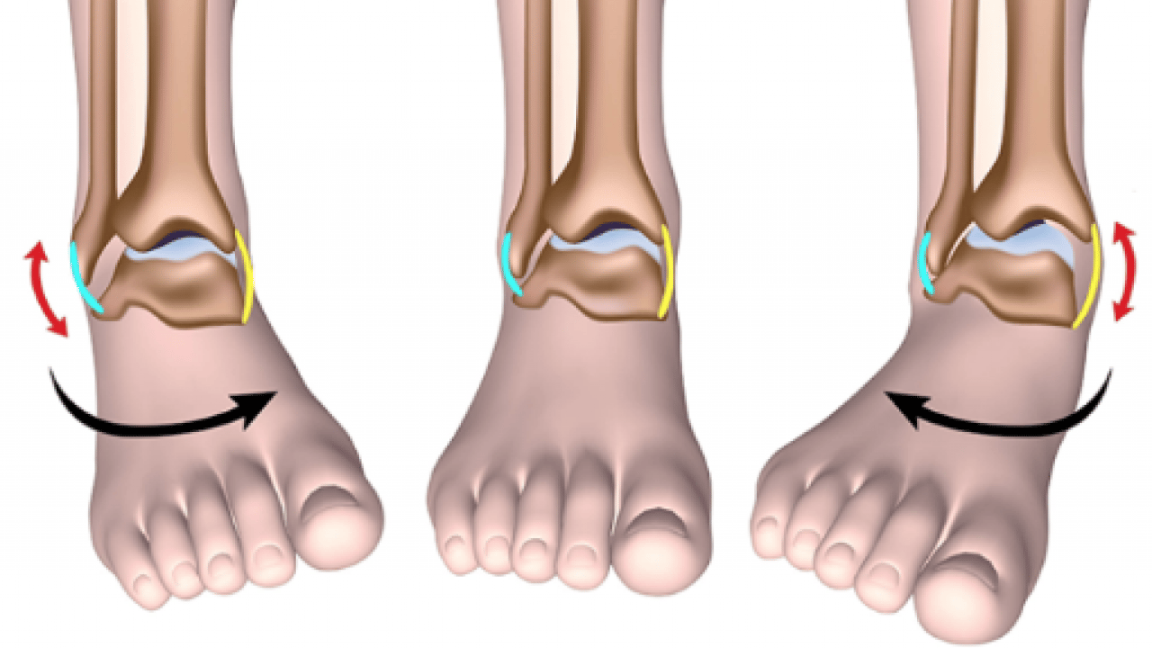 Foto - Bu habere bakın ve not alın: Siz siz olun, ayak bileği burkulmalarını hafife almayın...