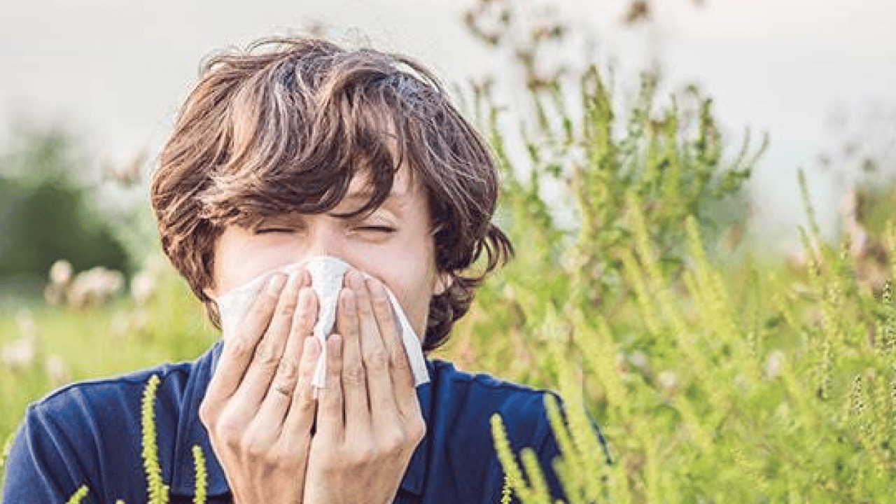 Foto - Bu hamleyi yapmalısınız: Alerjik rinit zamanla şiddetini azaltabilir ancak...