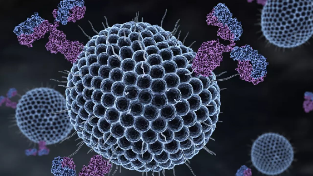 Foto - Bu hastalığa dikkat! Aşısı yok, ilacı yok: Diğer virüslerle birleşince öldürüyor!