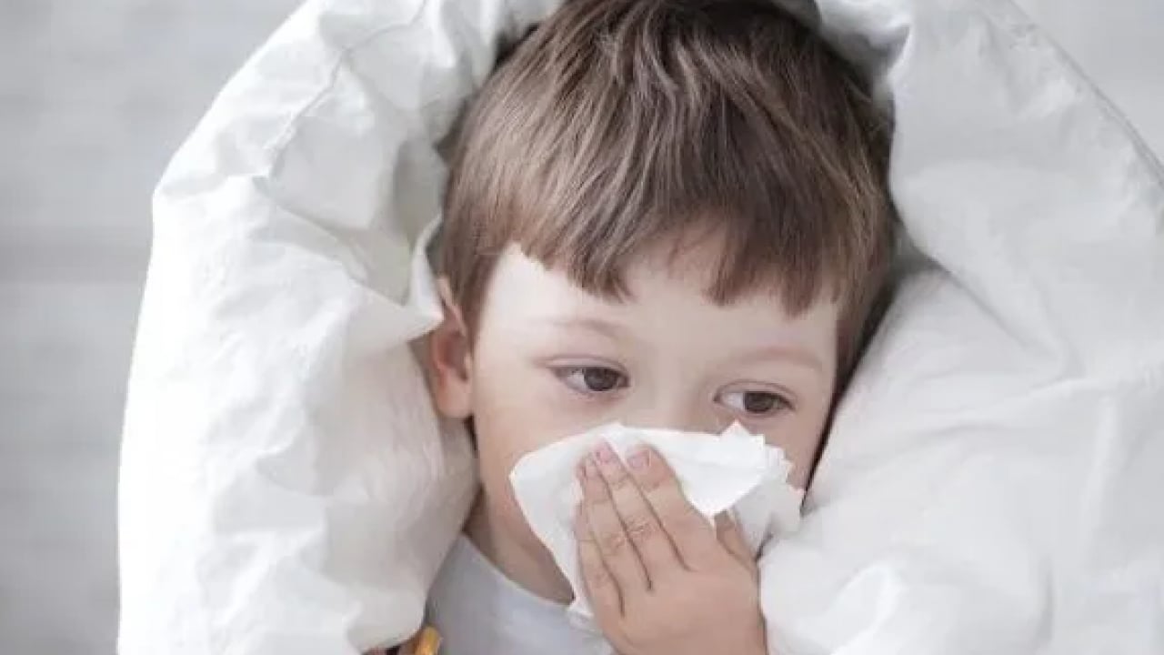 Foto - Bu hastalığa dikkat! Aşısı yok, ilacı yok: Diğer virüslerle birleşince öldürüyor!