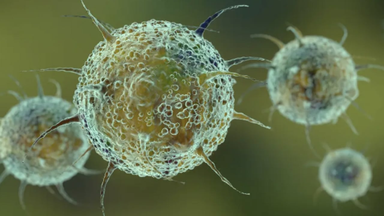 Foto - Bu hastalığa dikkat! Aşısı yok, ilacı yok: Diğer virüslerle birleşince öldürüyor!