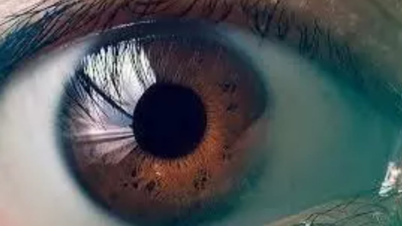 Foto - Bu hastalığı olanlar dikkat: Malulen emekli olmanın şartları belli oldu!