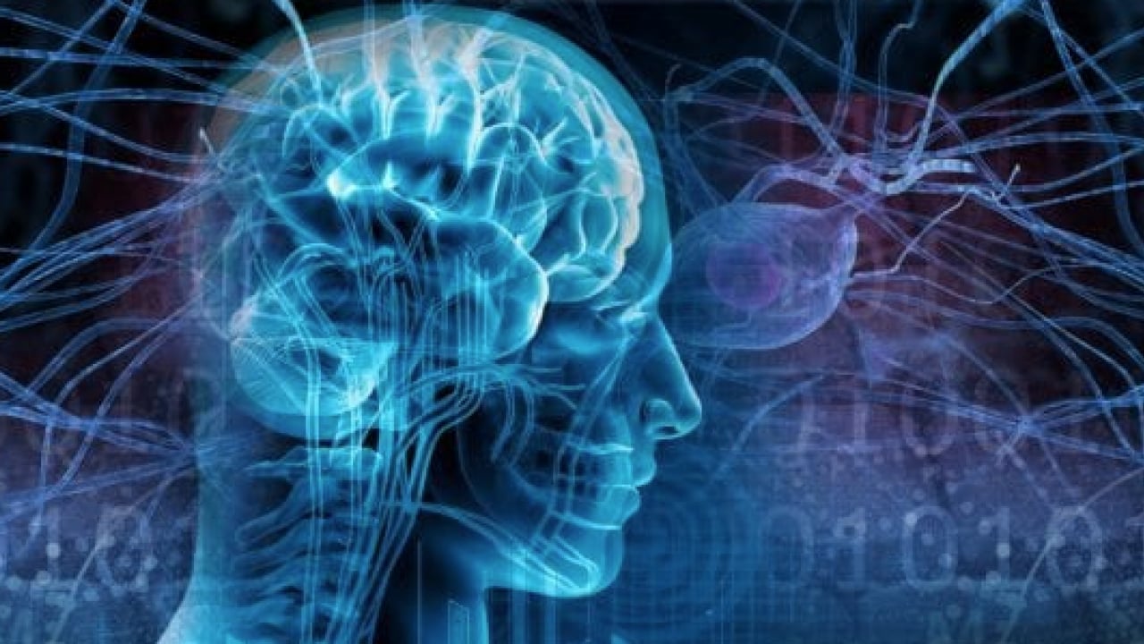 Foto - Bu hastalık detaylara doymuyor bir türlü ama... 'Epilepsi bulaşıcı bir hastalık değildir'