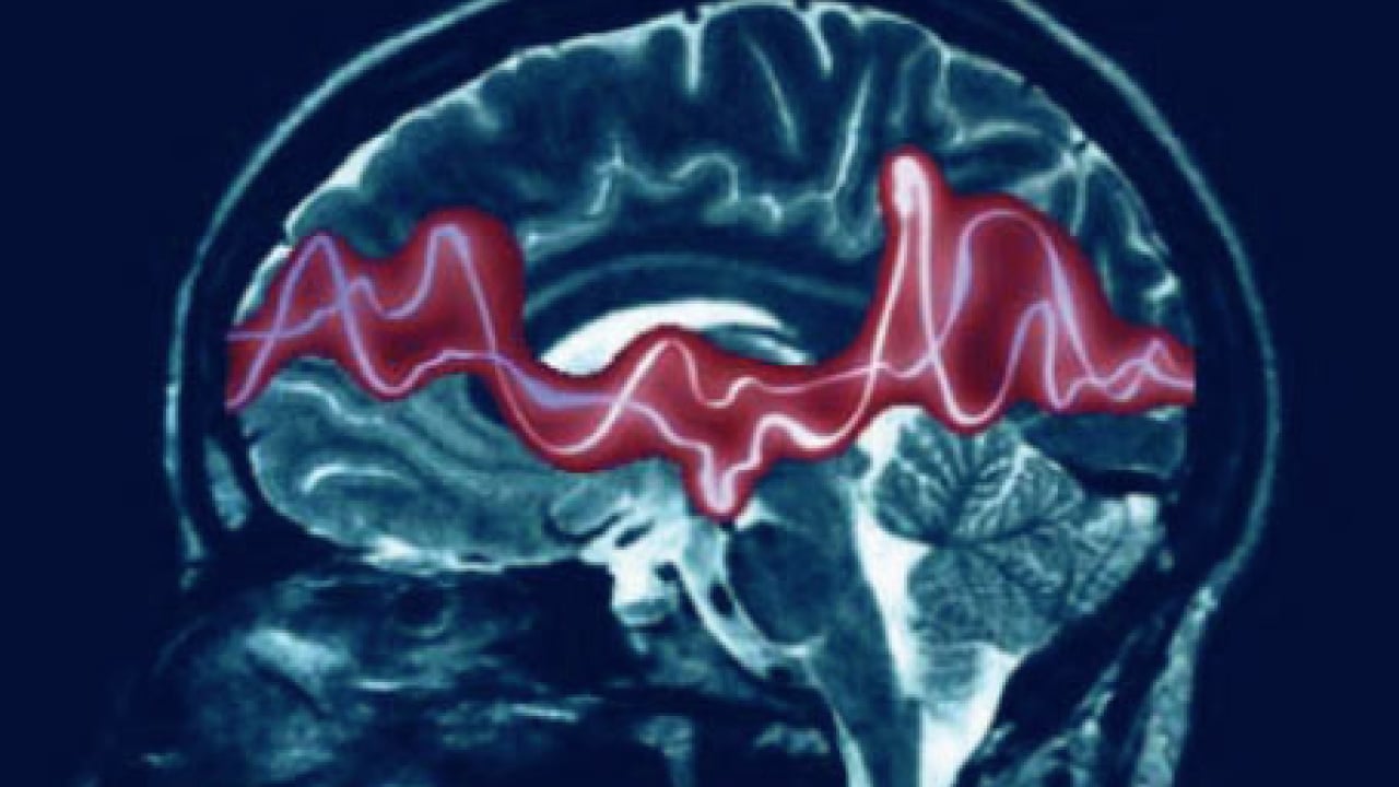 Foto - Bu hastalık detaylara doymuyor bir türlü ama... 'Epilepsi bulaşıcı bir hastalık değildir'