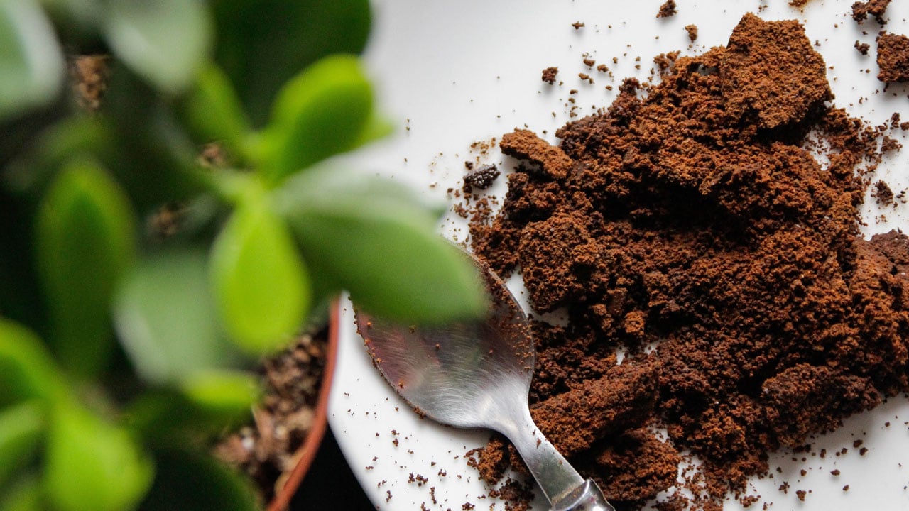 Foto - Bu hata mutfağınızı mahvediyor! Başınıza dert açabilir