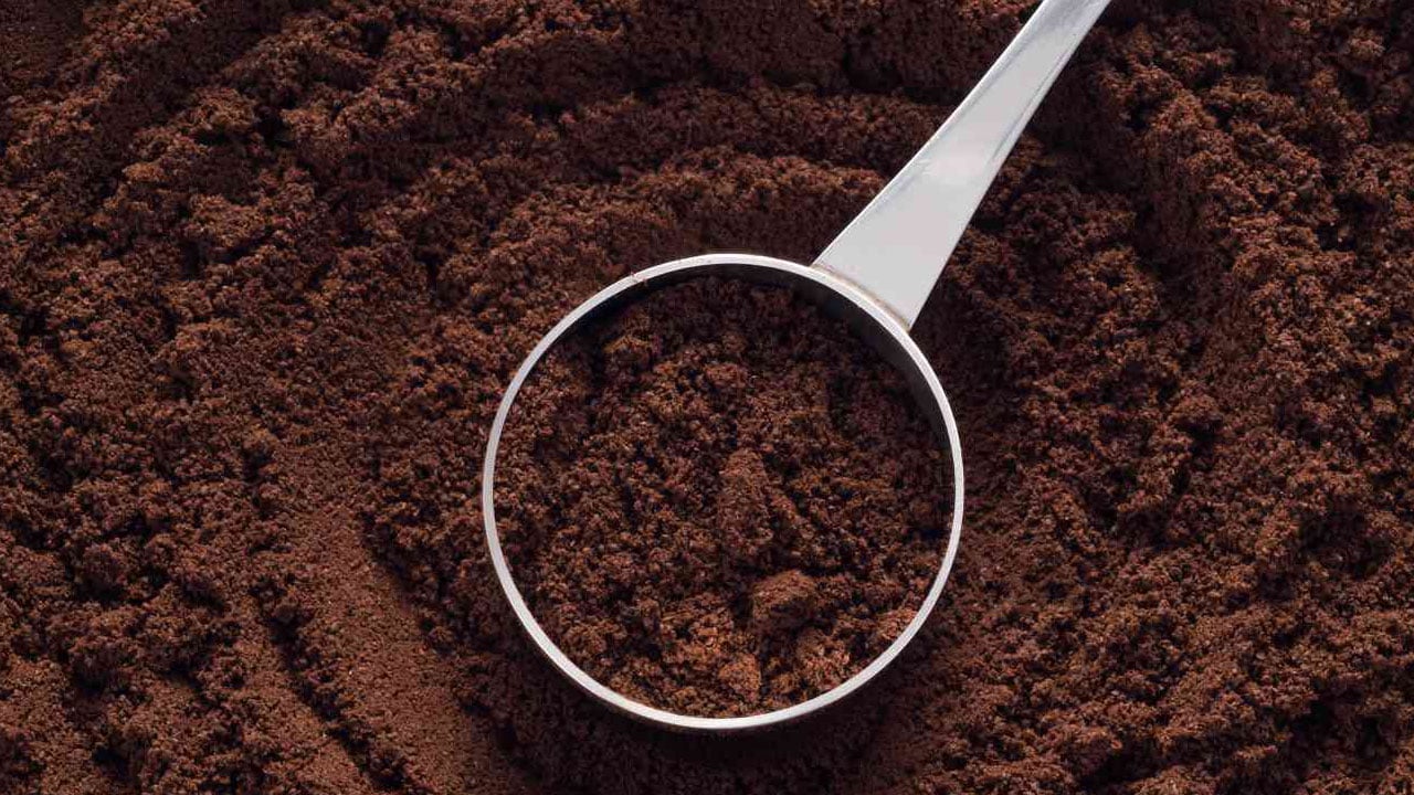 Foto - Bu hata mutfağınızı mahvediyor! Başınıza dert açabilir