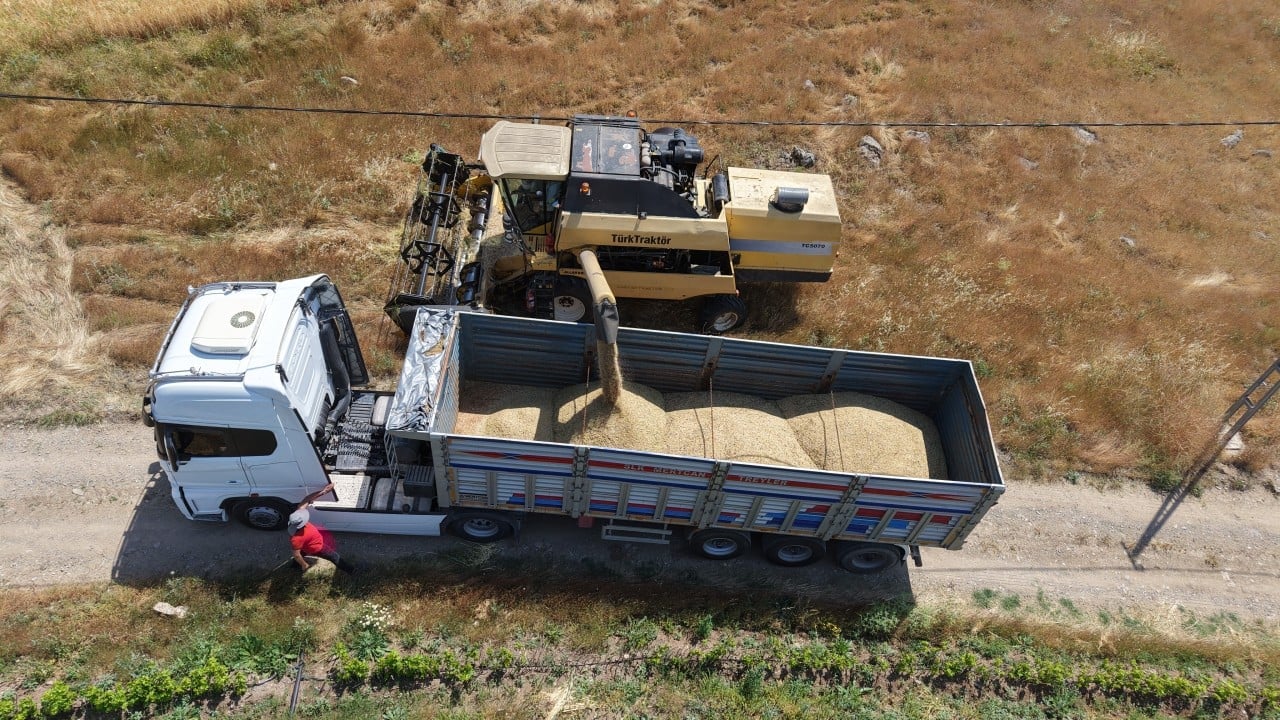 Foto - Bu hiç hesapta yoktu! Çiftçiyi üzen gelişme... 'Planlarımız altüst oldu'