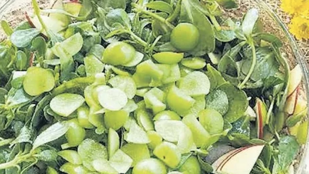 Foto - Bu hususlara dikkat! Adeta lif ve potasyum deposu! İşte uzmanından iyi erik seçme yöntemi...