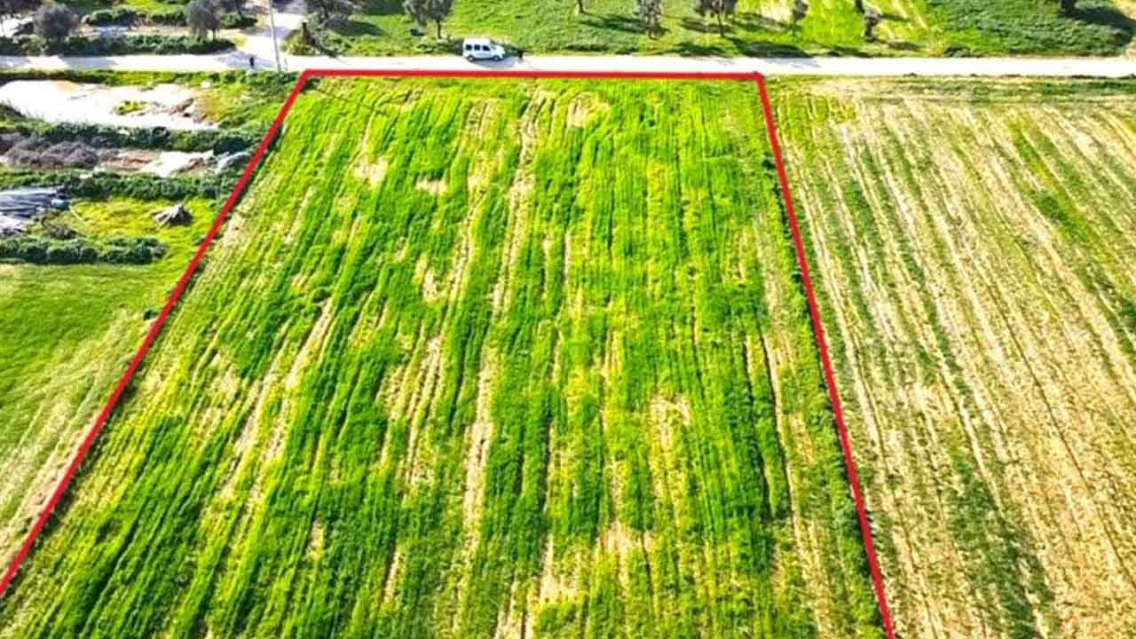 Foto - Bu ilde tarlası olanlar yaşadı! Fiyatlar füze gibi fırladı ufak bir yer bile almak artık imkansız oldu