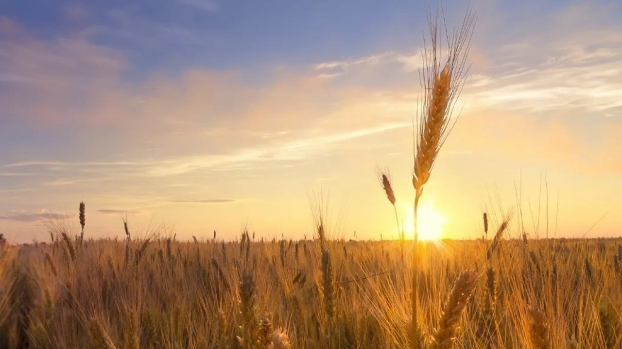 Foto - Bu ilde tarlası olanlar yaşadı! Fiyatlar füze gibi fırladı ufak bir yer bile almak artık imkansız oldu