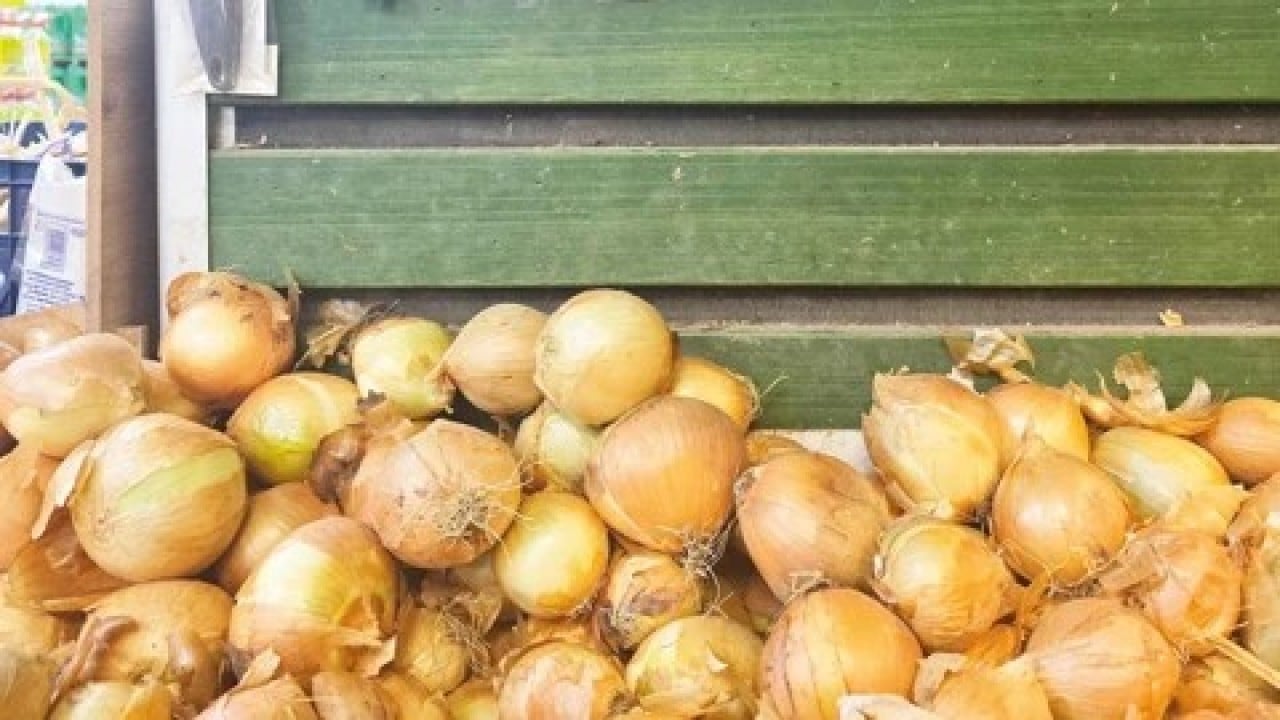 Foto - Bu ilk kez oluyor: Türkiye o ülkeden tonlarca soğan aldı