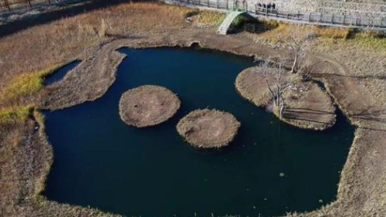 Foto - Bu illerde oturmak cep yakıyor! İşte kiraların en çok arttığı 15 il