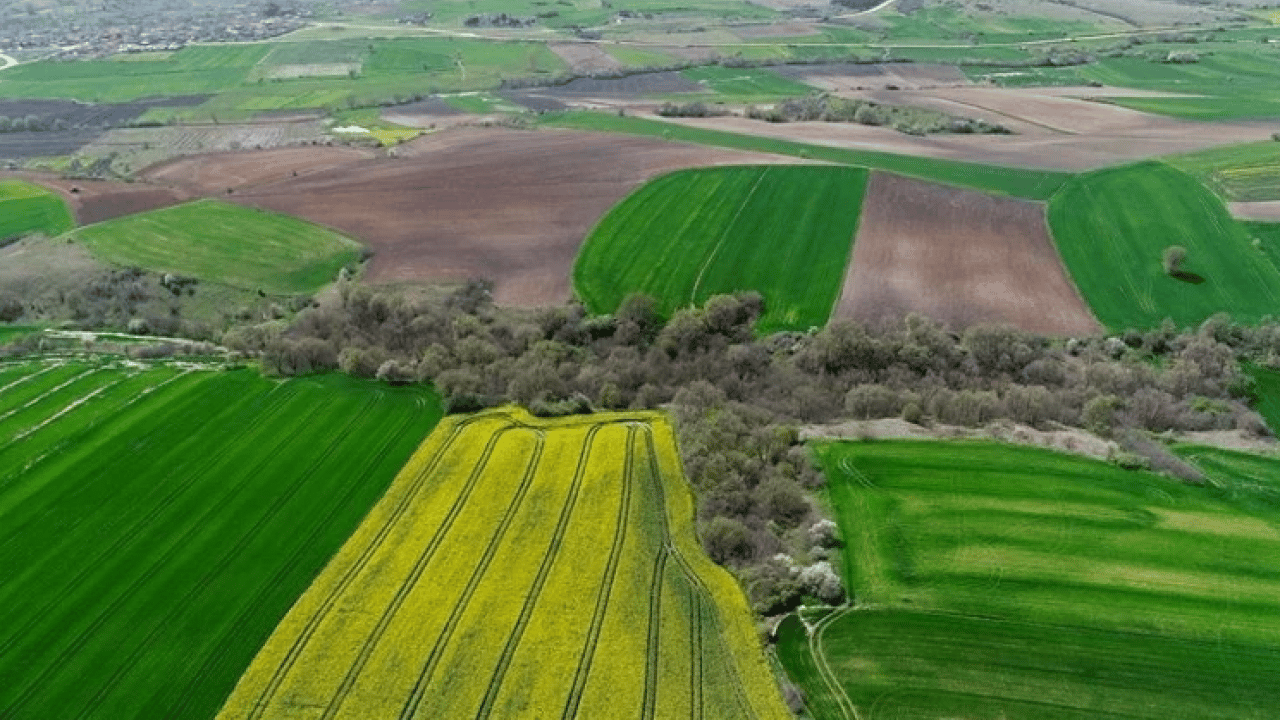 Foto - Bu illerden arsa alanlar köşeyi döndü! Fiyat artışı enflasyonu ikiye katladı