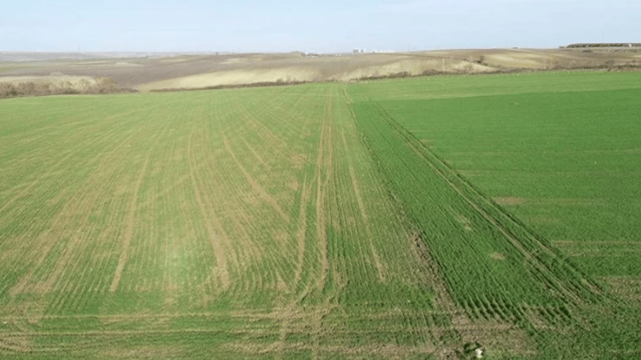 Foto - Bu illerden arsa alanlar köşeyi döndü! Fiyat artışı enflasyonu ikiye katladı