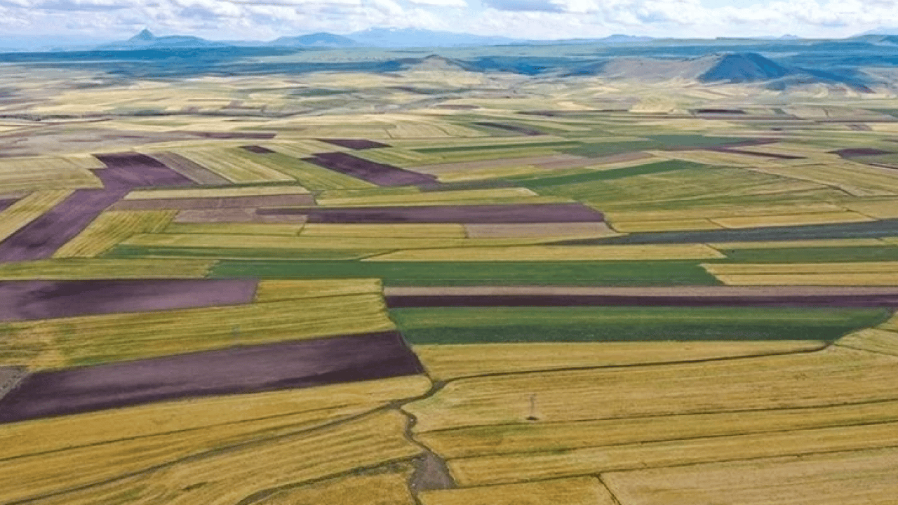 Foto - Bu illerden arsa alanlar köşeyi döndü! Fiyat artışı enflasyonu ikiye katladı