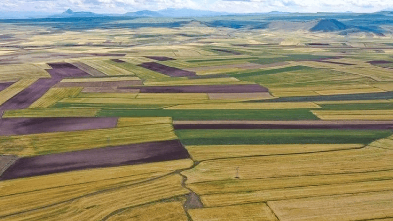 Foto - Bu illerden arsa alanlar köşeyi döndü! Fiyat artışı enflasyonu ikiye katladı