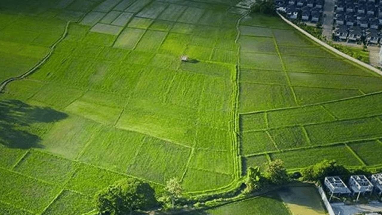 Foto - Bu illerden arsa alanlar köşeyi döndü! Fiyat artışı enflasyonu ikiye katladı