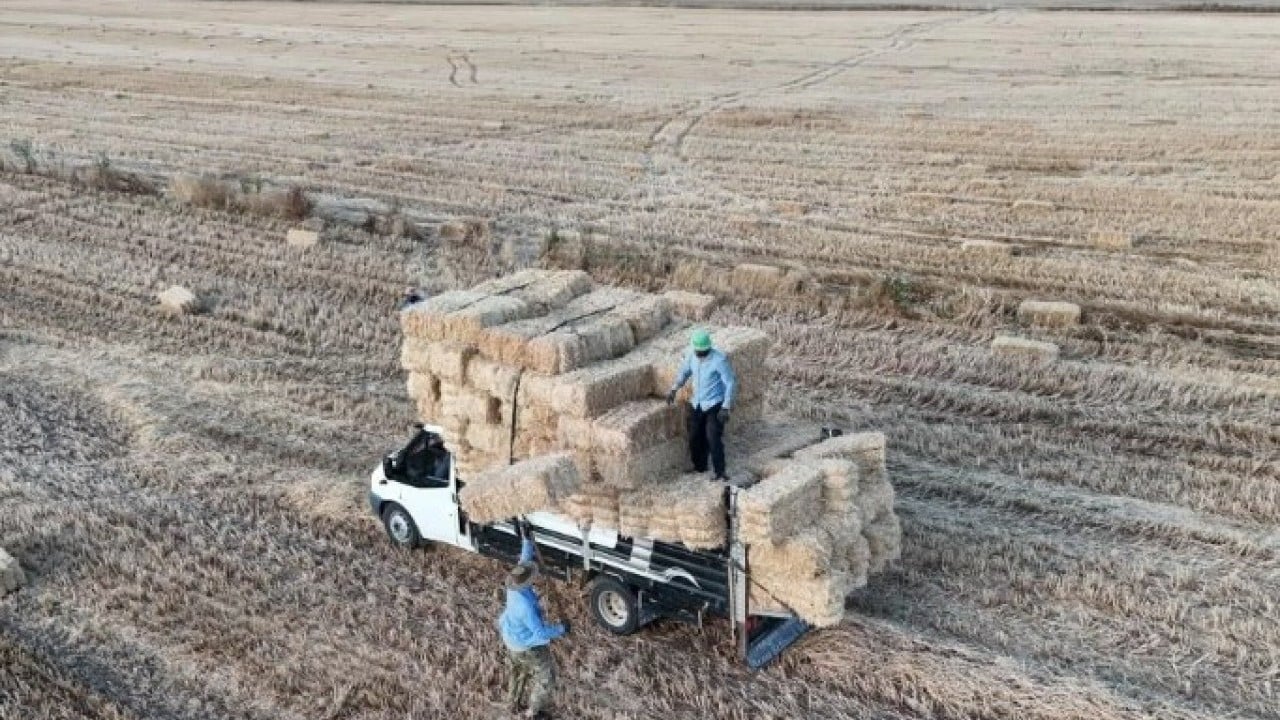 Bu işi yapan köşeyi dönüyor! Günlük kazancı dudak uçuklattı