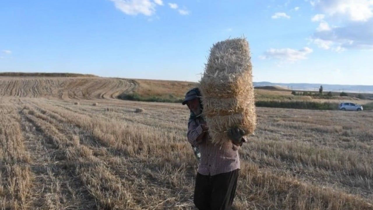 Foto - Bu işi yapan köşeyi dönüyor! Günlük kazancı dudak uçuklattı