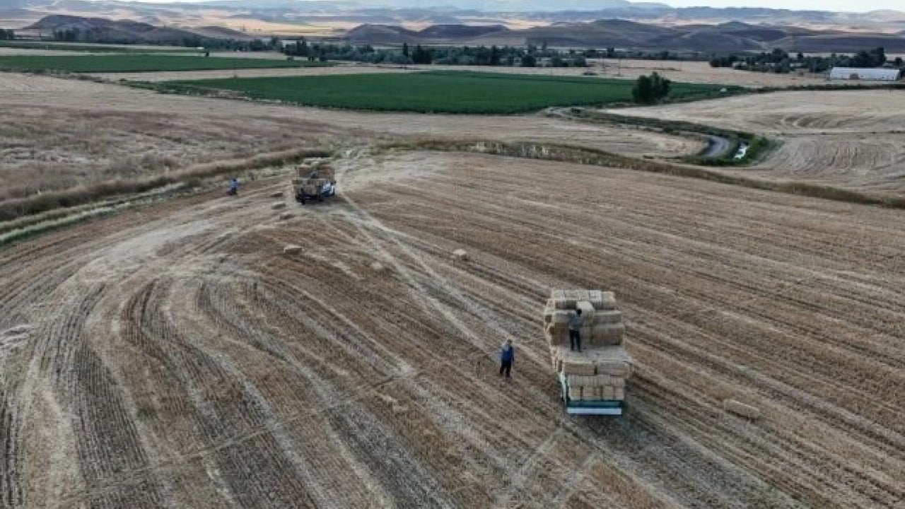 Foto - Bu işi yapan köşeyi dönüyor! Günlük kazancı dudak uçuklattı