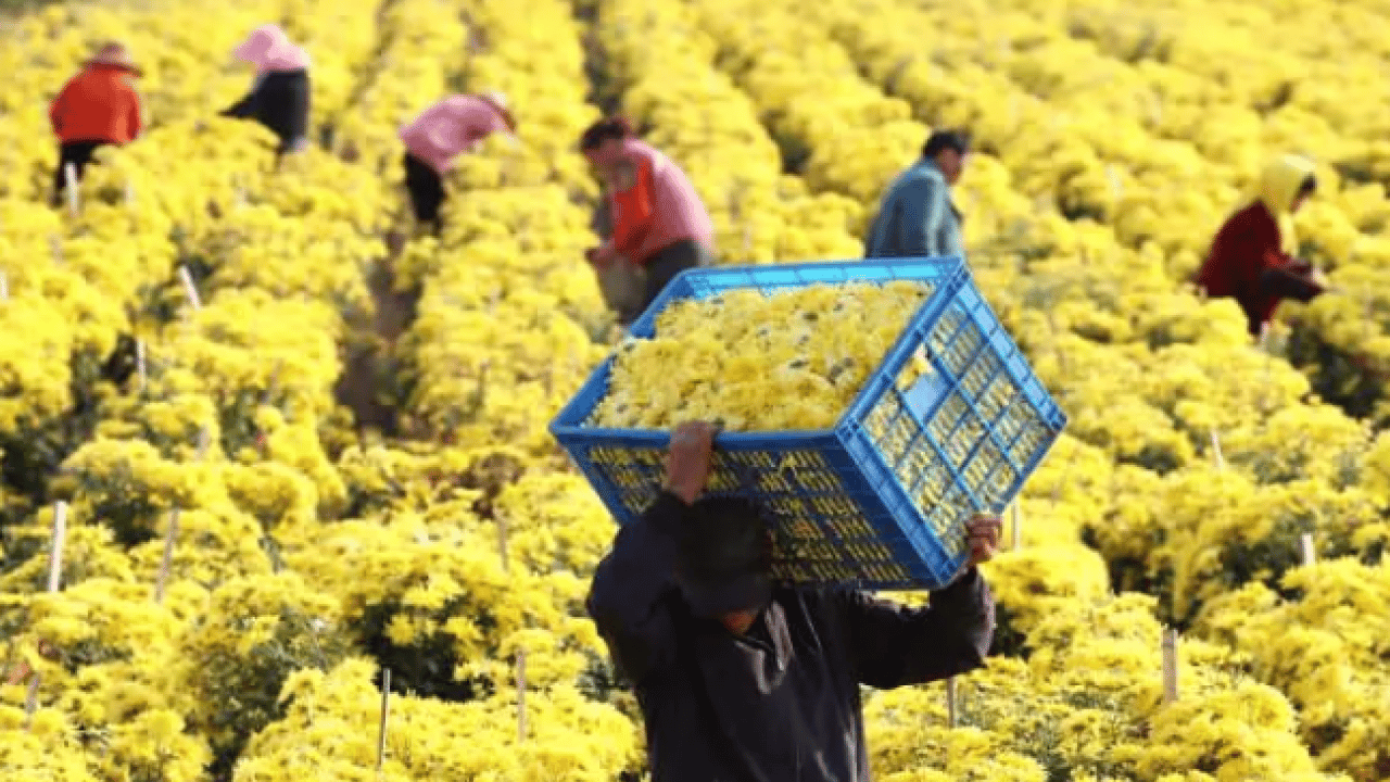 Foto - Tabelada görmeseniz inanmazsınız: İşte Türkiye'nin en tuhaf köy isimleri! 