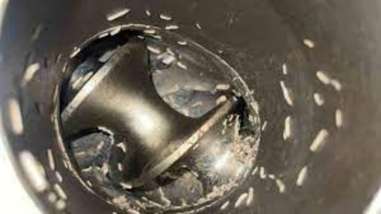 Bu kadar zehirlenme vakasına şaşmamalı! Kıyma makinesinden kurt fışkırdı