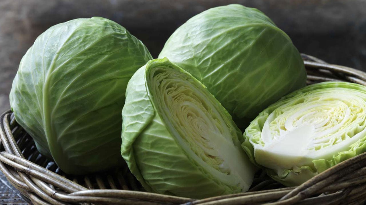 Foto - Bu kadarını kimse beklemiyordu! Sessiz kahraman lahanaymış