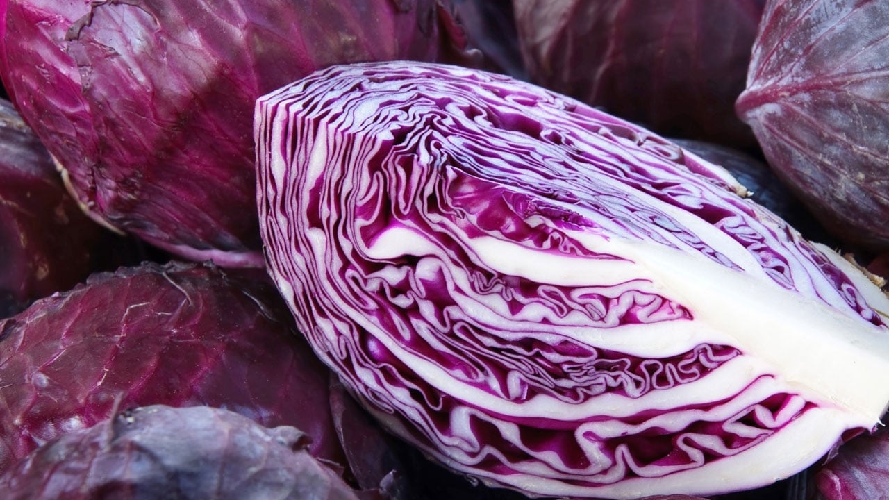 Foto - Bu kadarını kimse beklemiyordu! Sessiz kahraman lahanaymış