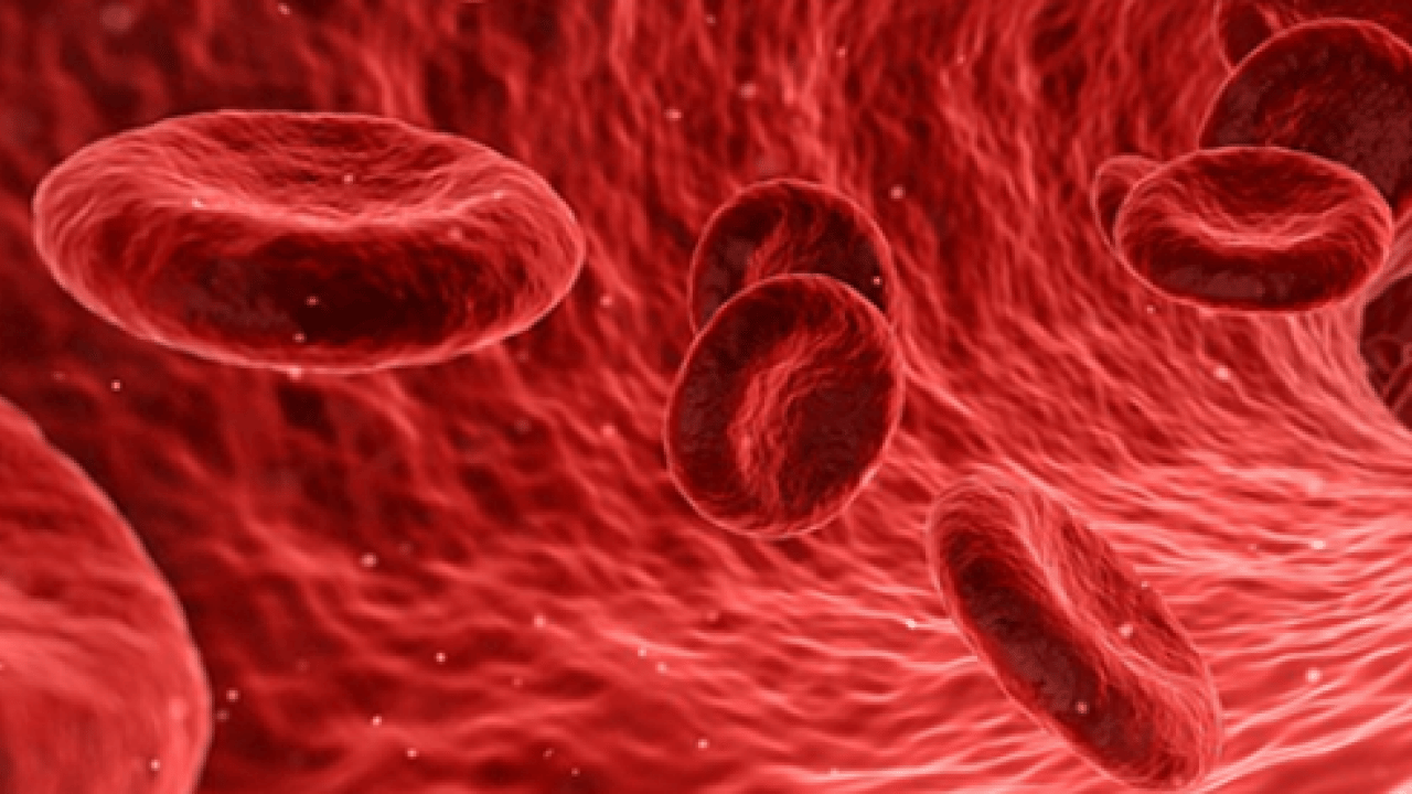 Foto - Bütün gün uyukluyorlar: En yorgun kan grubu belli oldu!