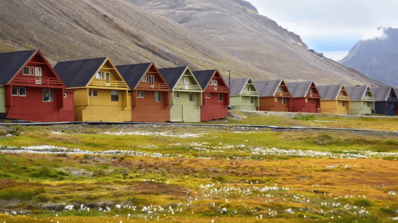 Foto - Bu kasabada ölüm yasak! Peki nasıl olacak o iş?