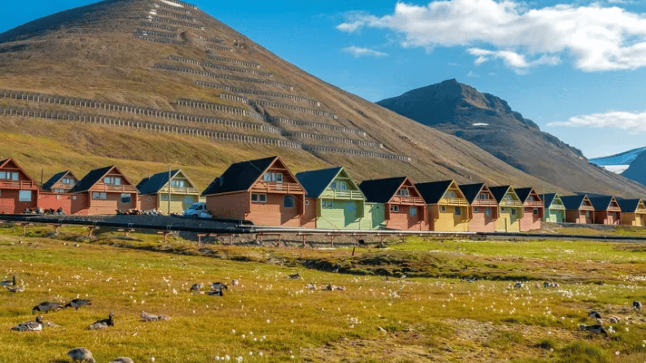 Bu kasabada ölüm yasak! Peki nasıl olacak o iş?