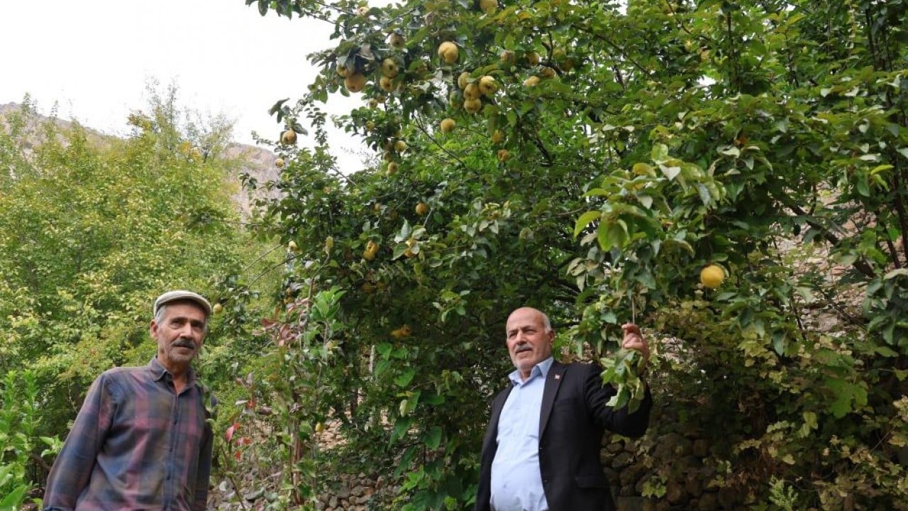 Foto - Bu köyde ne eksen onu biçiyorsun! Her iklime "geçit" var