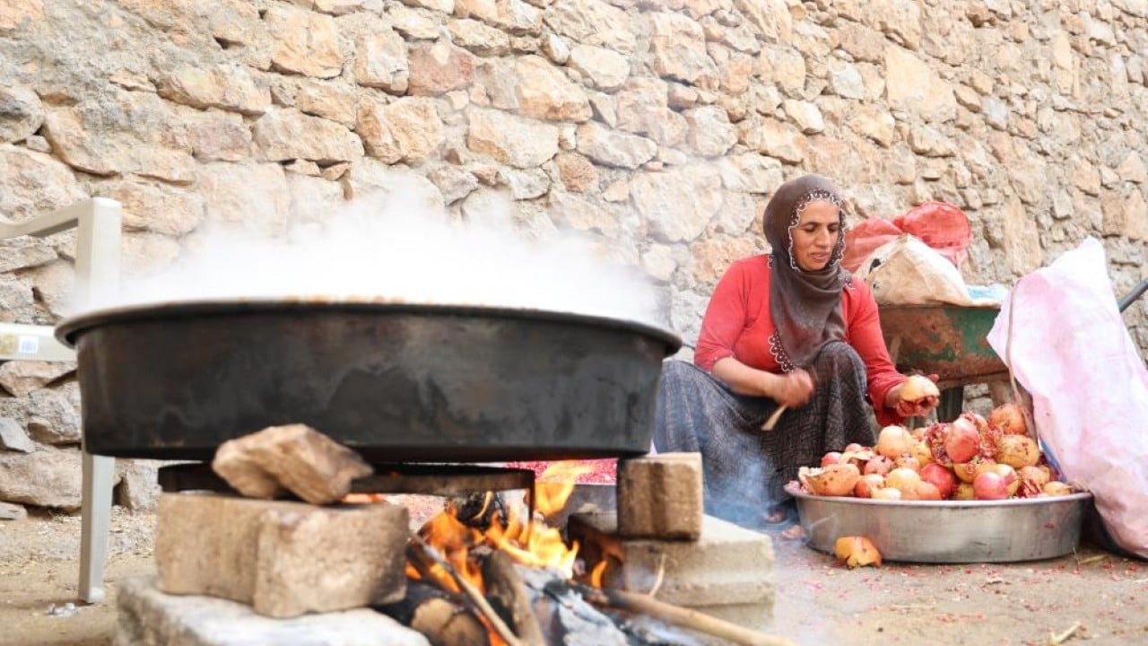 Foto - Bu köyde ne eksen onu biçiyorsun! Her iklime "geçit" var