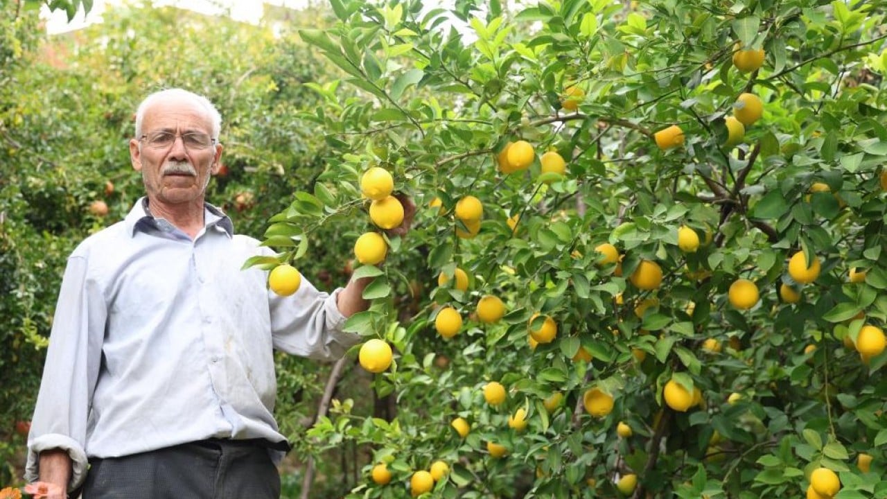Foto - Bu köyde ne eksen onu biçiyorsun! Her iklime "geçit" var