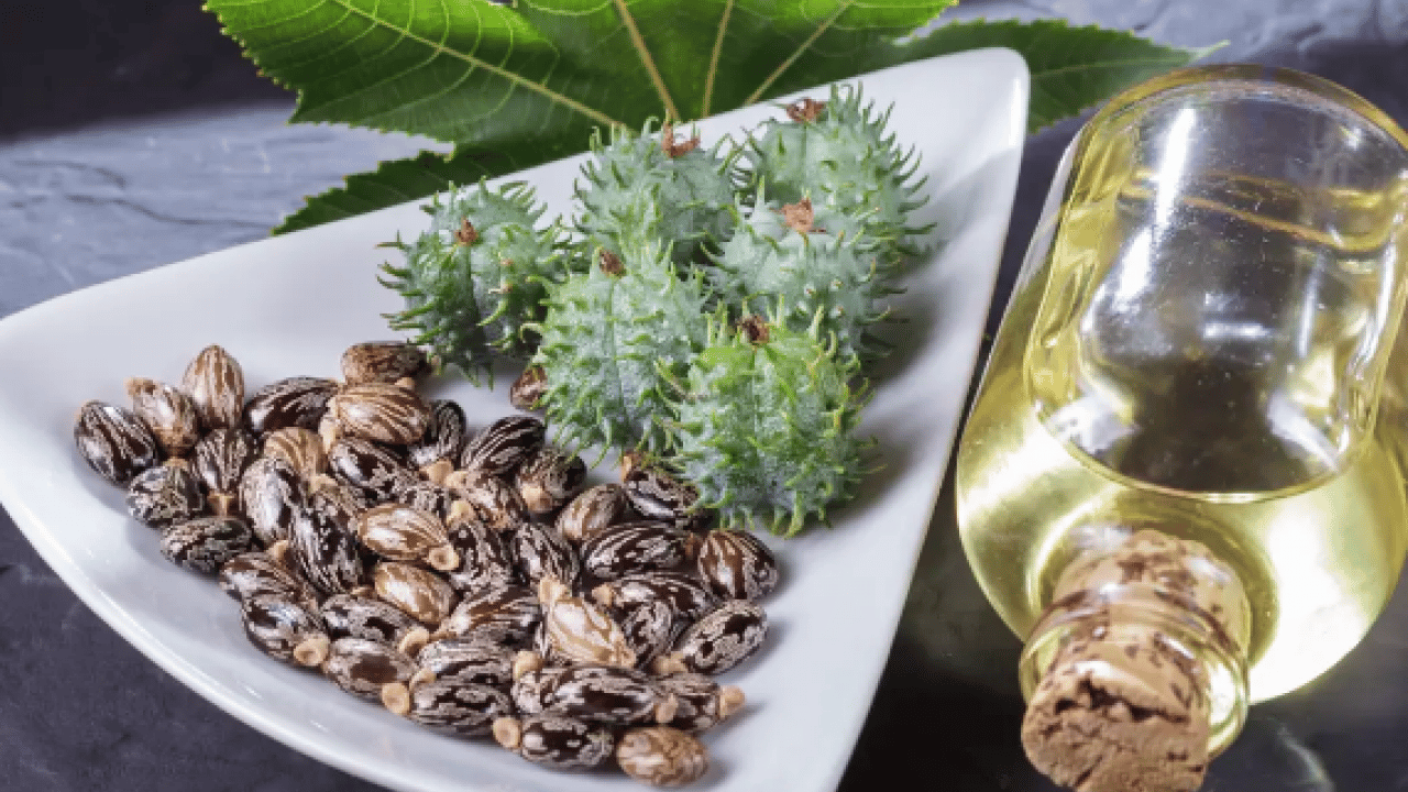 Foto - Bu metotları uygulayın: Hem saç hem kirpik uzatıyor! İşte doğal formüller