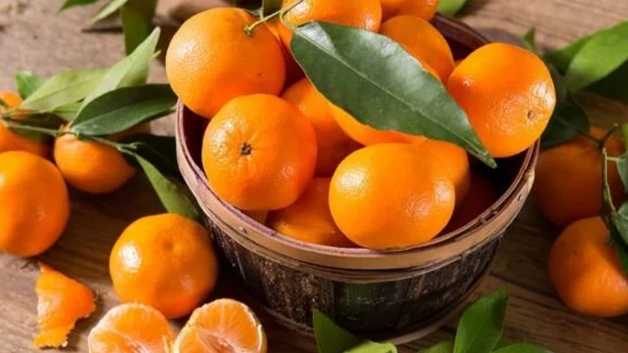 Foto - Bu meyveler lif zengini: Kalbi motor gibi çalıştırıyor!