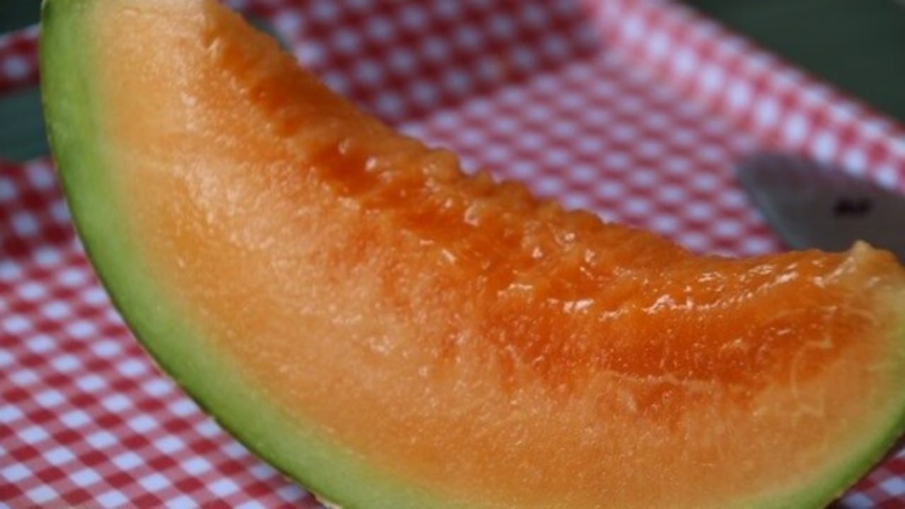Foto - Bu meyveyi klasik müzik dinletip masaj yaparak yetiştiriyorlar: Şapka takıp 2 bin TL’ye peynir ekmek gibi satıyorlar