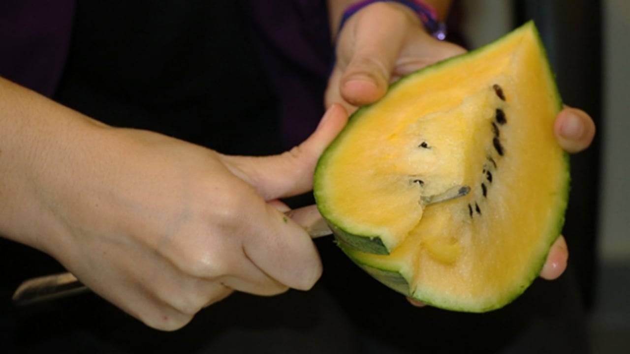 Foto - Bu meyveyi yetiştiren köylüler para basmaya başladı! Tarlasına eken bir ayda evini, arabasını alıyor