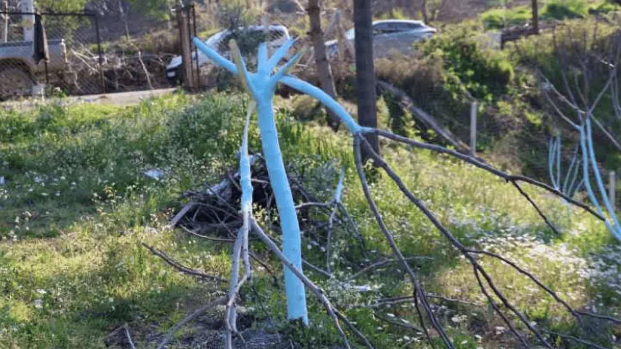 Foto - Öfkesini onlardan çıkardı: ''İnsan kanı taşıyan biri bunu yapamaz'' 