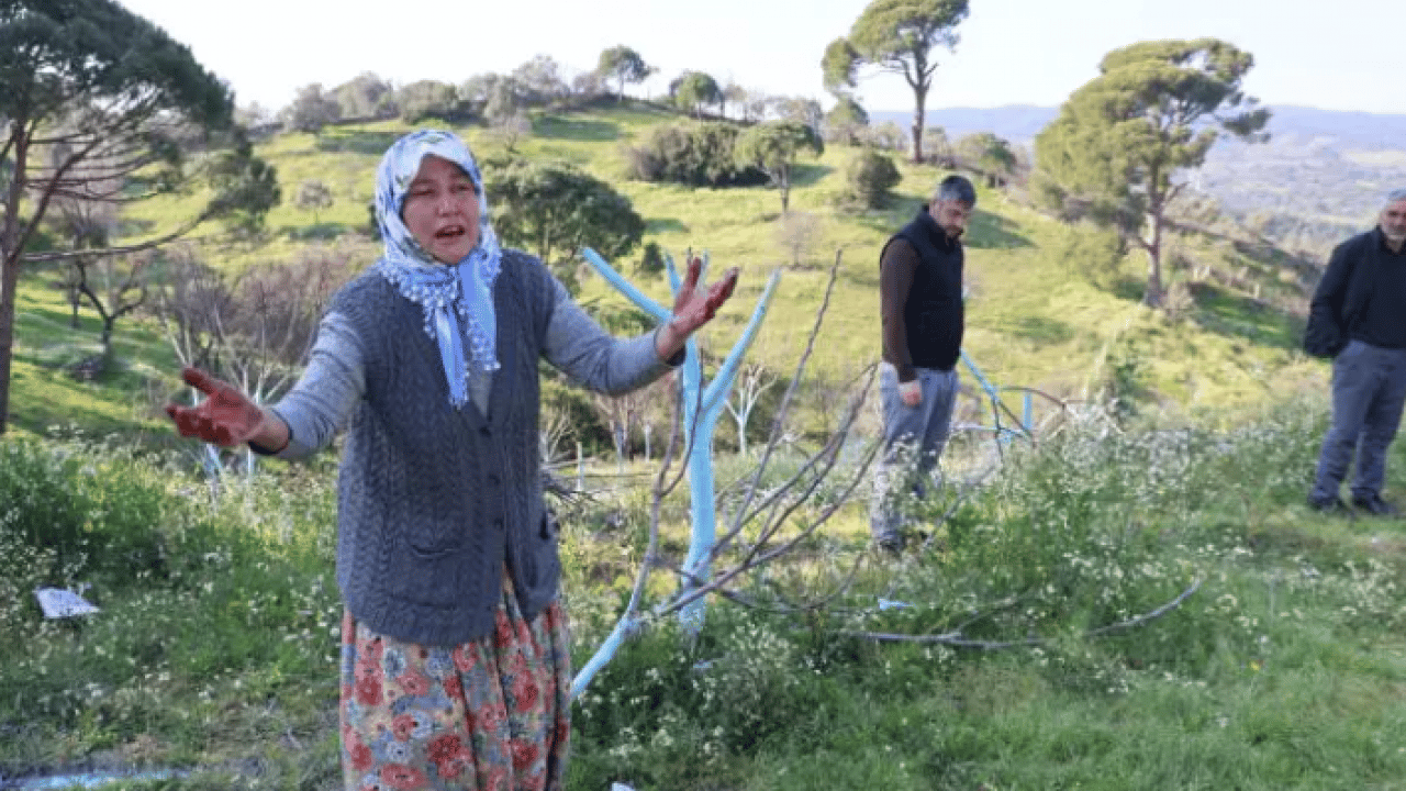 Foto - Öfkesini onlardan çıkardı: ''İnsan kanı taşıyan biri bunu yapamaz'' 
