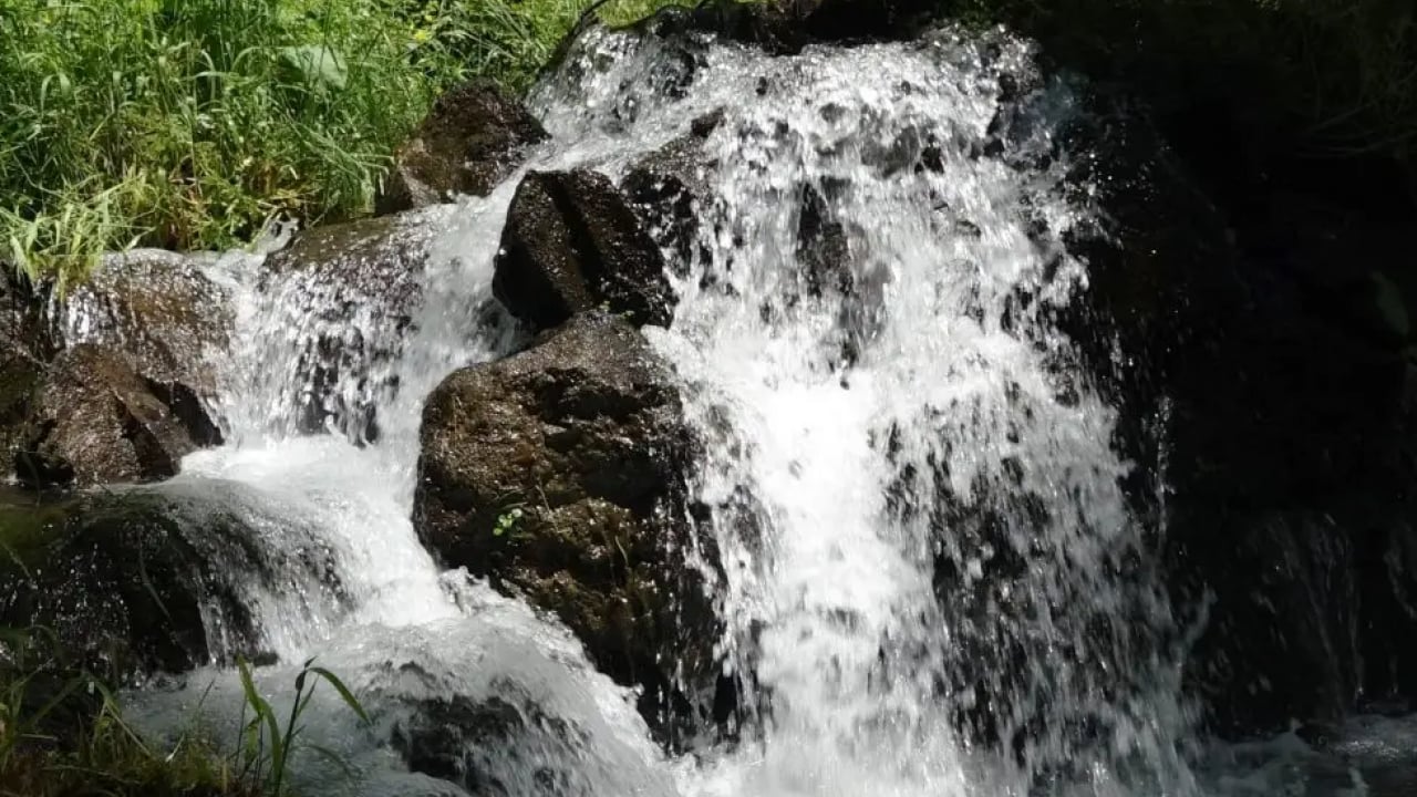 Bu pınar başka pınar: Yılda bir kez süt akıyor! 