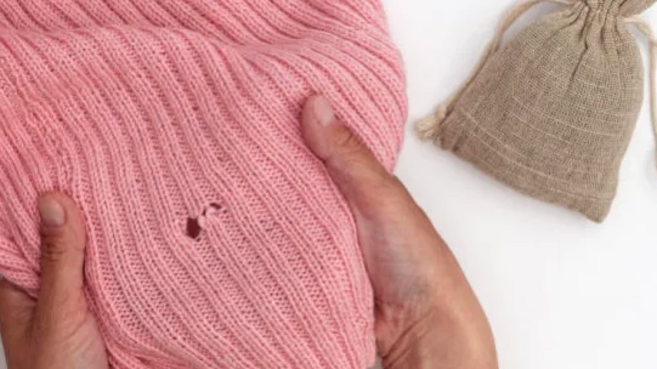 Foto - Bu sorunu kökten çözecek... Evdeki güvelerden bu yöntemle saniyeler içerisinde kurtulun!