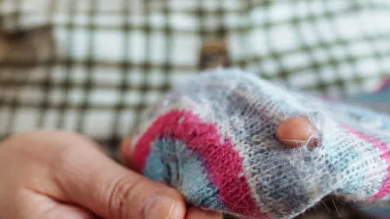 Foto - Bu sorunu kökten çözecek... Evdeki güvelerden bu yöntemle saniyeler içerisinde kurtulun!