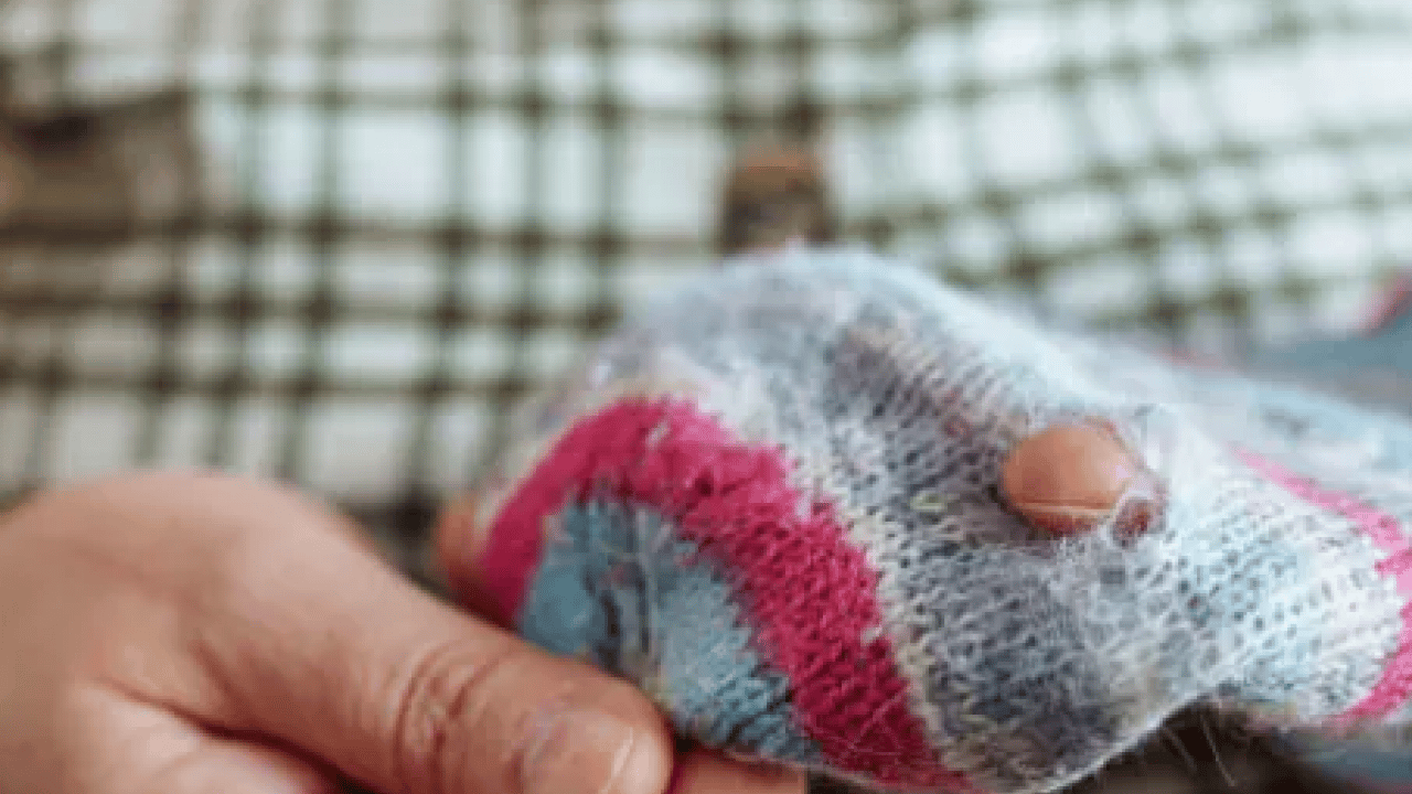 Foto - Bu sorunu kökten çözecek... Evdeki güvelerden bu yöntemle saniyeler içerisinde kurtulun!