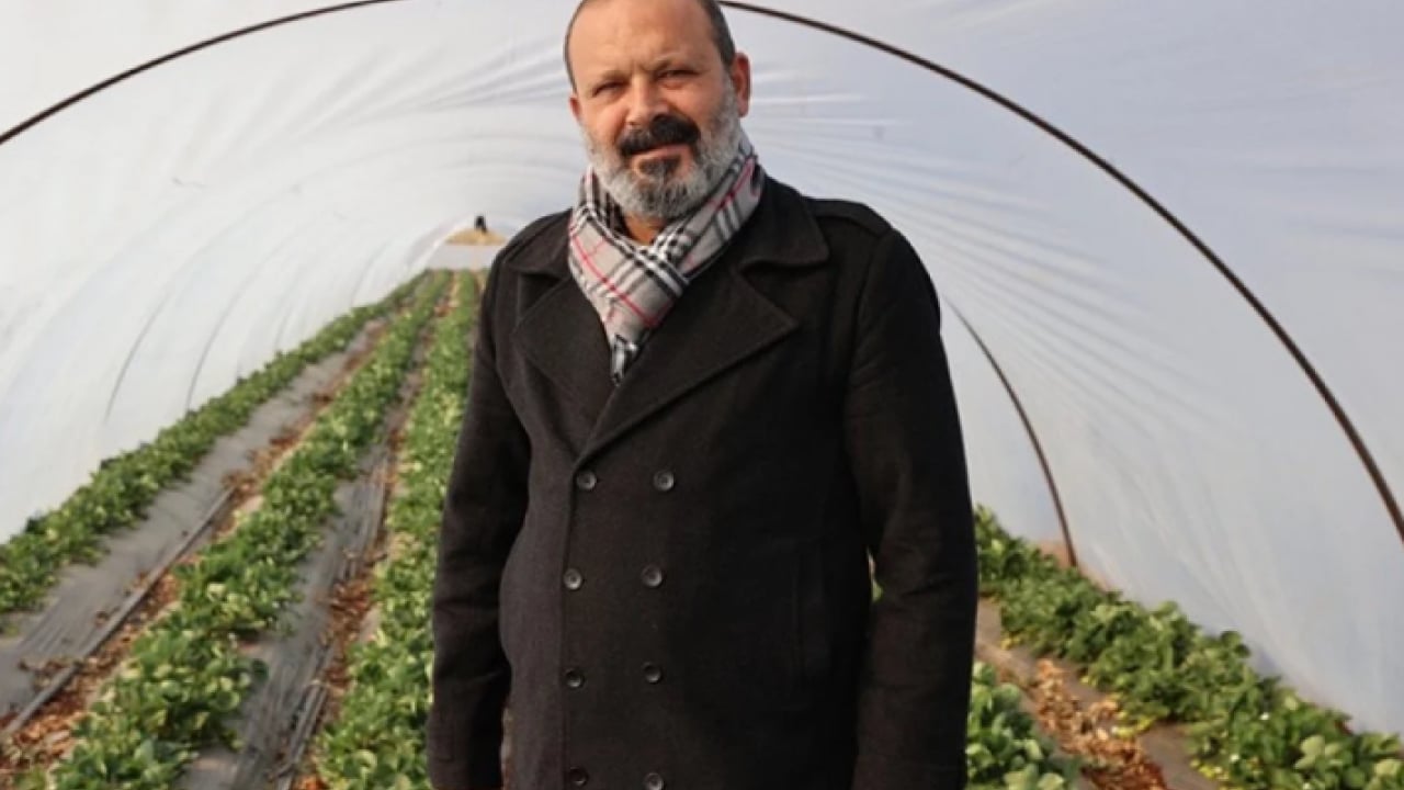 Foto - ‘Bu topraklarda çilek olmaz’ dediler! O ilimizde göz kamaştıran hasat