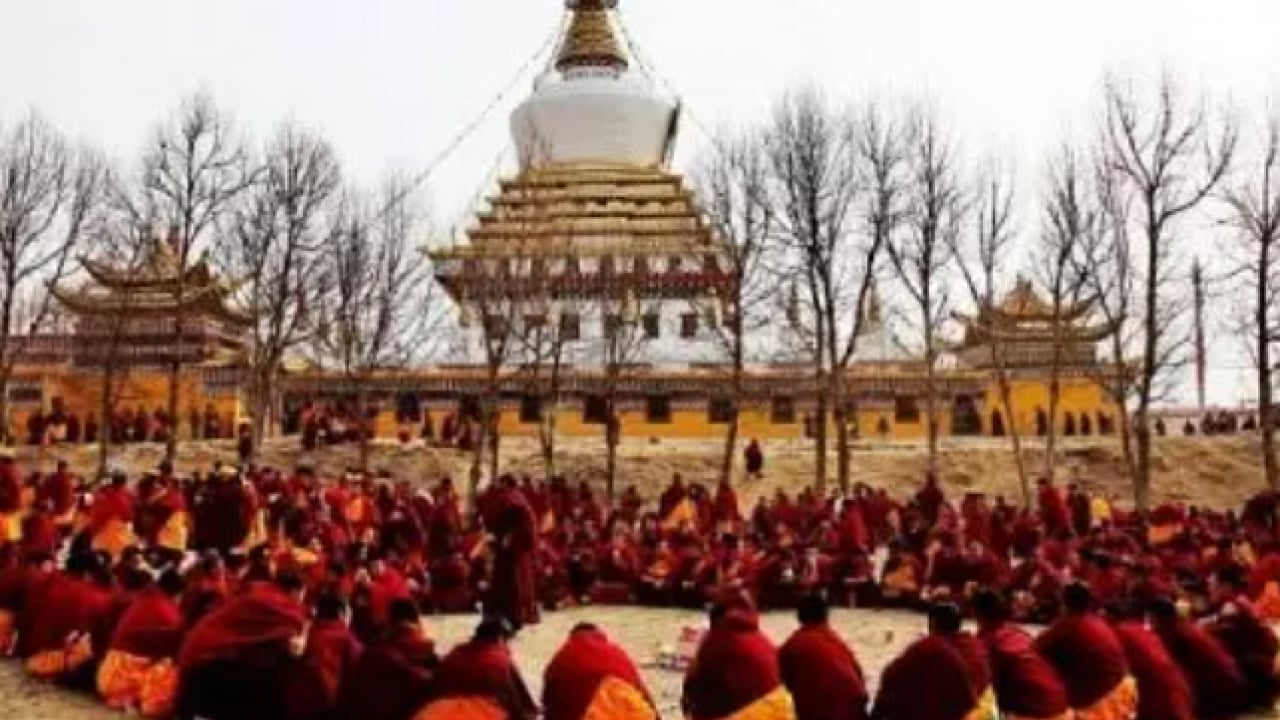 Foto - Bu ülkelere akıl sır ermiyor: Vakti geleni ölüme terk ediyorlar!