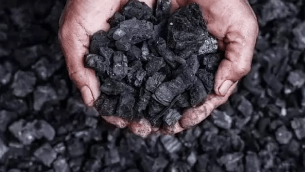 Foto - Bu ülkelere akıl sır ermiyor: Vakti geleni ölüme terk ediyorlar!