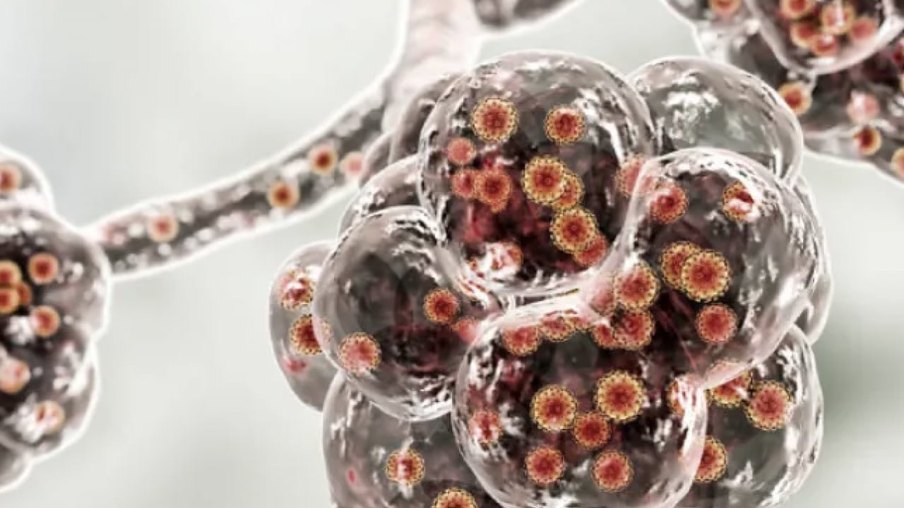 Foto - Bu uyarılara aman dikkat: İdrar yolu enfeksiyonuna çözümler... Mikroptan eser kalmıyor