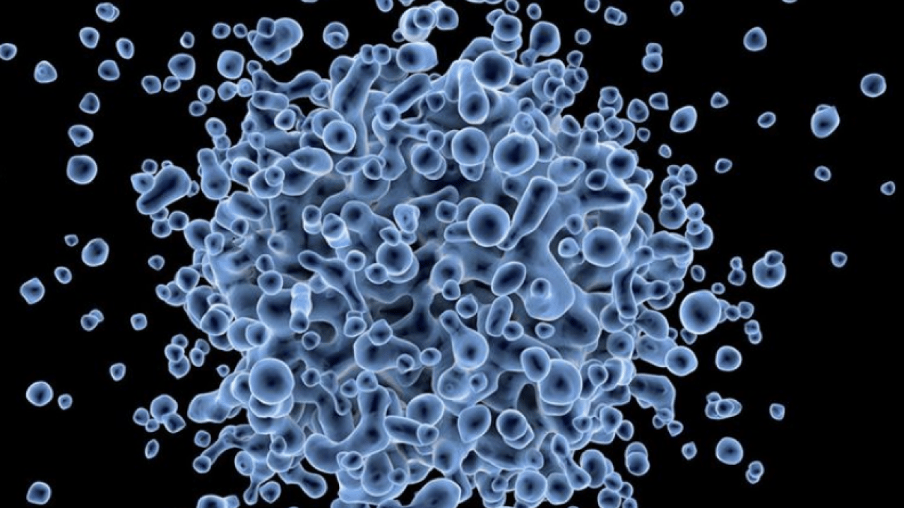 Foto - Bu uyarılara aman dikkat: İdrar yolu enfeksiyonuna çözümler... Mikroptan eser kalmıyor